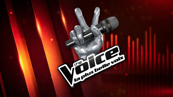 Hommage aux Talents de The Voice